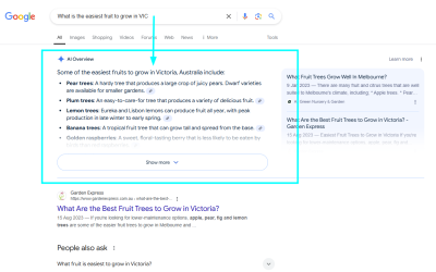 Google AI Search is here. Let’s get ahead of the game.